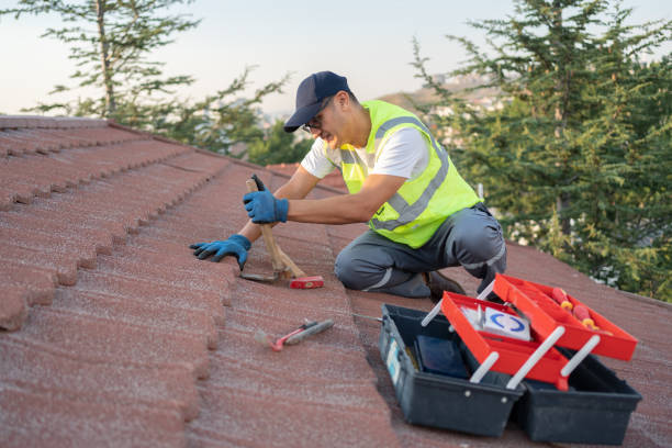 Best Affordable Roof Replacement  in USA